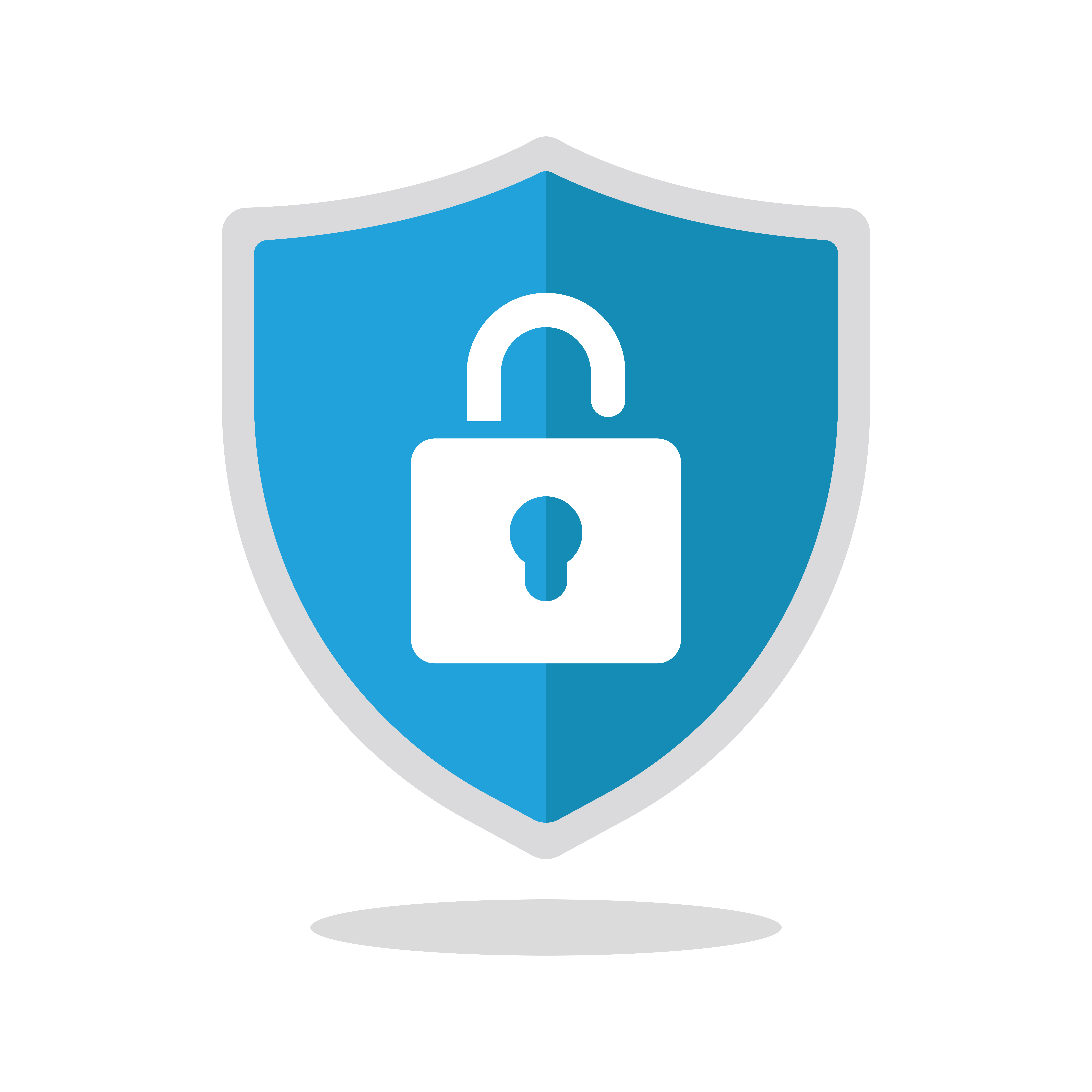 Network Security icon